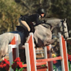 Meet your Posher, Lily